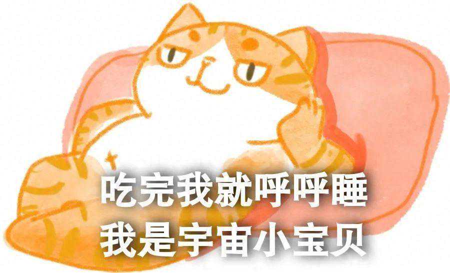 嘿！来减肥啊？
