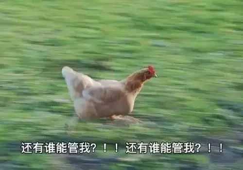 社保断缴了怎么办，有哪些影响？