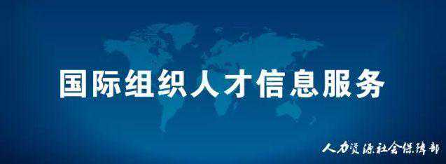 国际组织最新岗位信息来啦