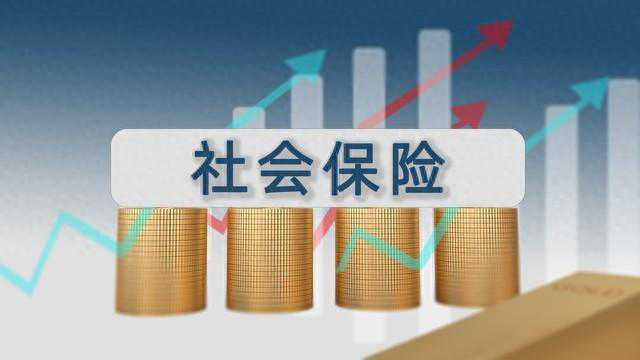 郑州社保待遇全解析：保障生活，助力未来