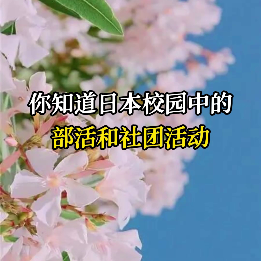 你知道部活和社团活动的区别是什么吗？部活（ぶかつ）和社...