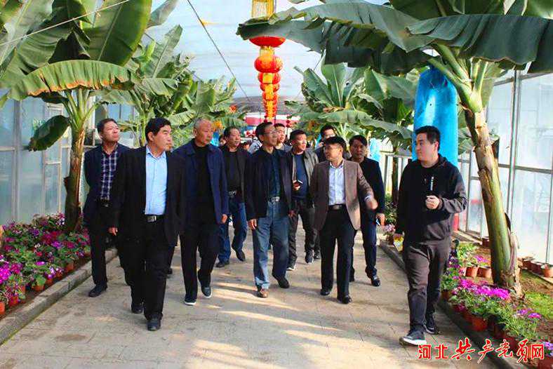 定州市委组织部一行到丰润区西那母庄三村学习观摩