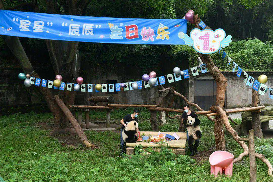 “双”“重”“喜”“庆”+“星”“辰”=6只滚滚的生日趴
