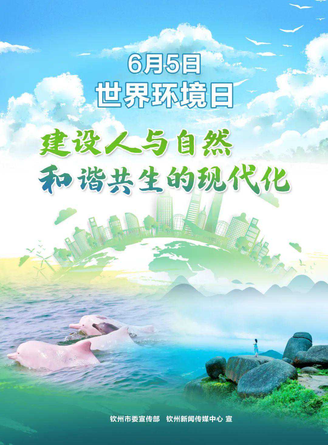 领导干部任职前公示
