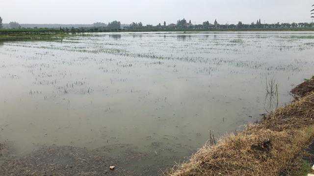 汇聚大爱 荆州青年企业家爱心捐赠助力灾后重建