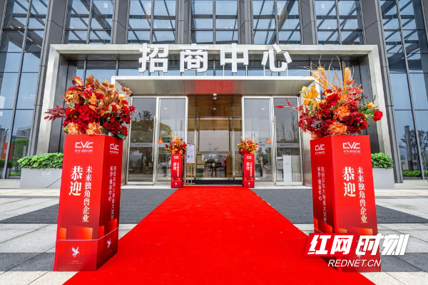 为湖湘交付丨长沙·视谷中心视创总部大楼盛大交付