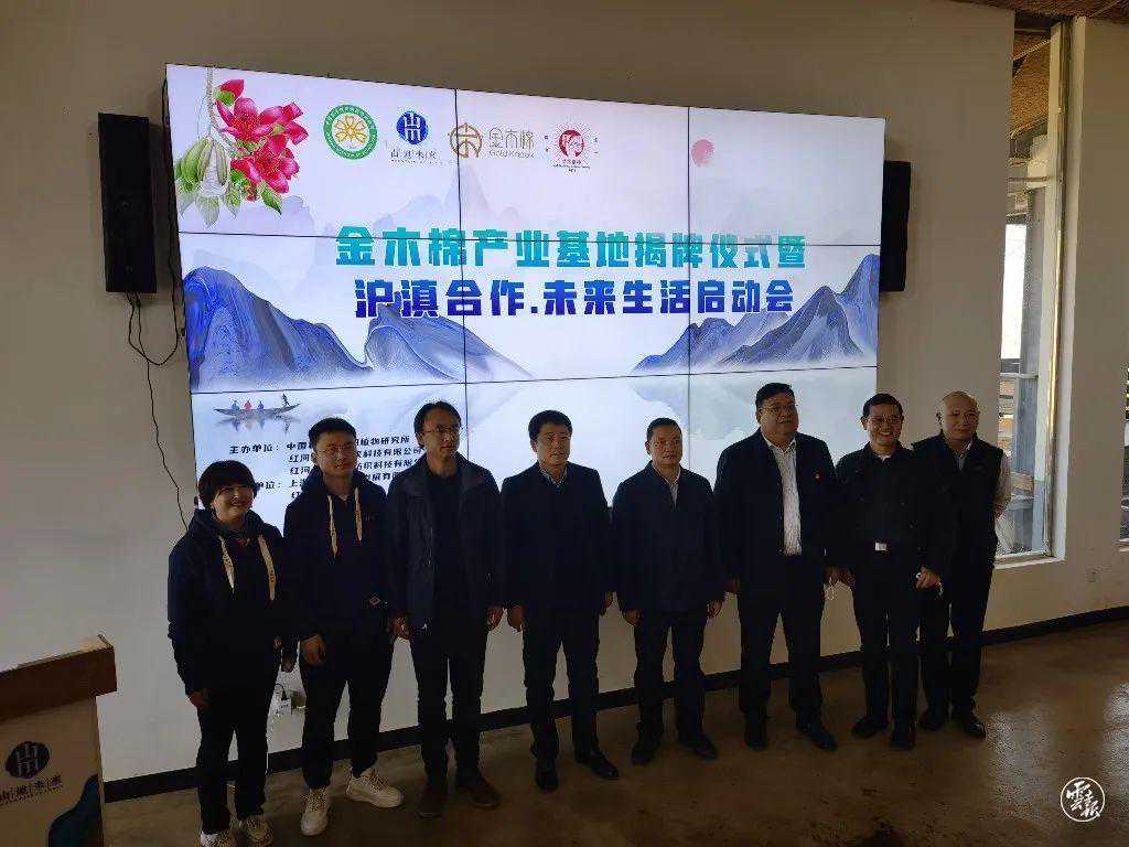 金木棉全产业链基地落地红河“山地未来”