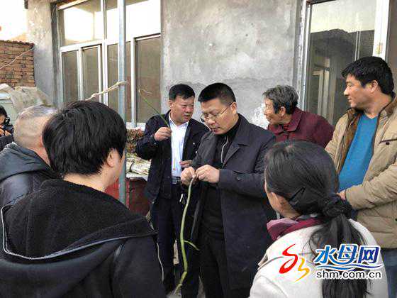 搭建庆云与烟威的就业桥梁 邦芒人力参入帮扶行动