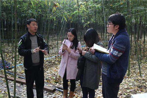 记者节走基层：博爱县将小山村打造成旅游景区
