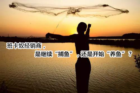 班卡奴经销商，是继续"捕鱼"，还是开始"养鱼"？
