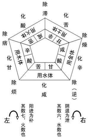 《辅行诀五脏用药法要》探析