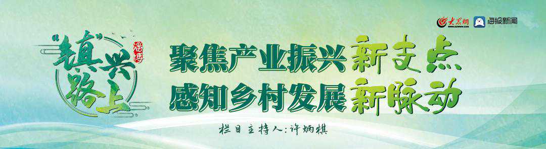 “镇”兴路上⑥ | 高青河晏村：抓住“鸡”遇  鸡蛋变“金蛋”
