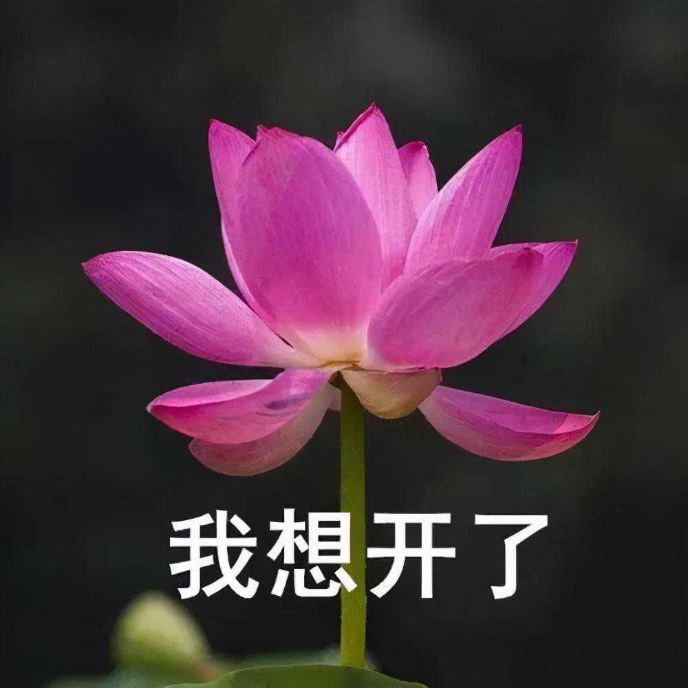 “房住不炒”之下，润玺何去何从