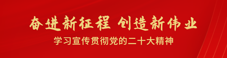 县政协调研步行街基础设施提升项目及启动盘活县域重点市场情况
