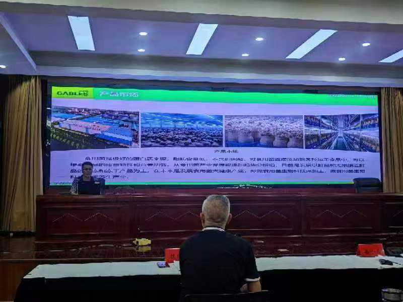 “双招、双引、双创”——江苏泰兴项目建设推进工作再添殊荣