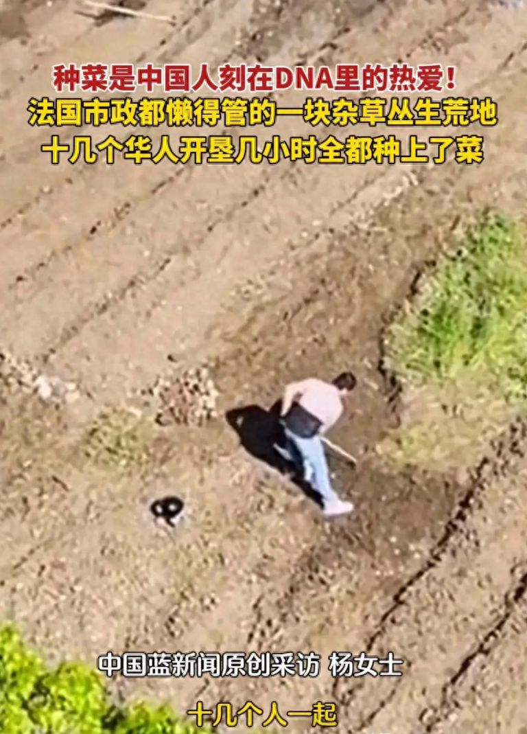笑不活了！华人在法国开荒种地紧跟热点，评论区全是内蒙古纪云浩