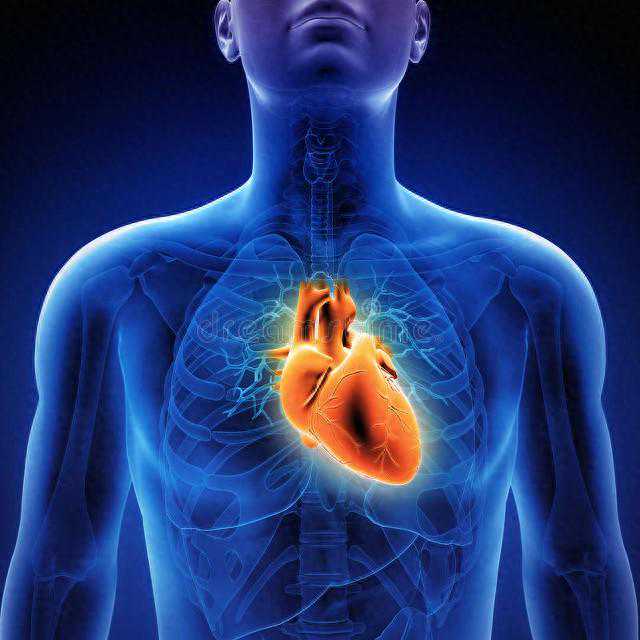 生死之间：探索这两个年龄段为何成为无数人的命运转折点