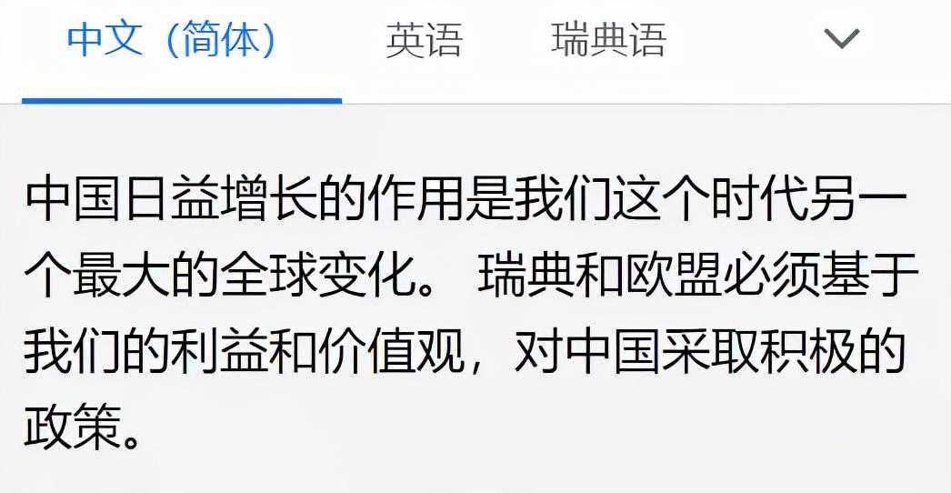 跟阿文学瑞典语：Aktiv politik应该如何翻译？