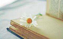 珍姨的等待（现代故事）