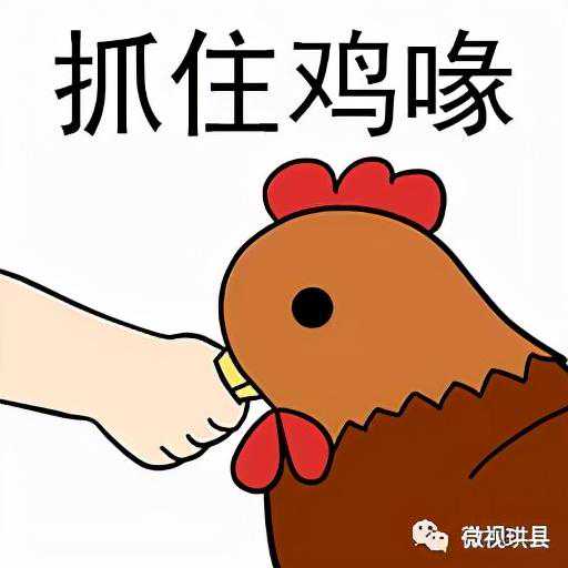 招聘90人，找工作的看过来啦