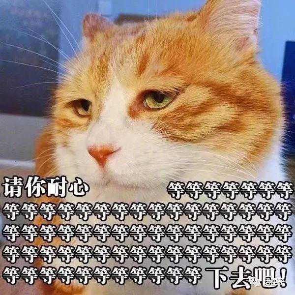 说好的三个月，却一年多还未到账！“爱代驾”的押金为啥这么难退？