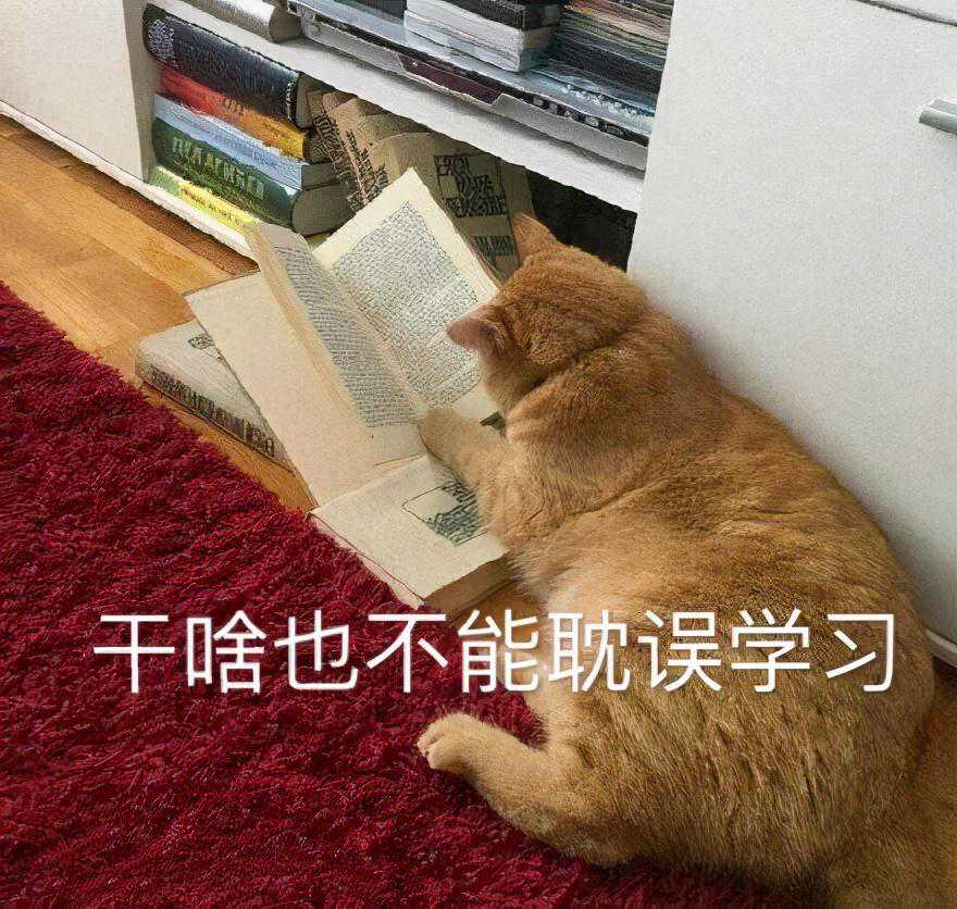 一旦放弃数量关系，公考就结束了