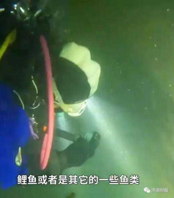 砚池中的大鱼是“恐怖生物”？济南辟谣