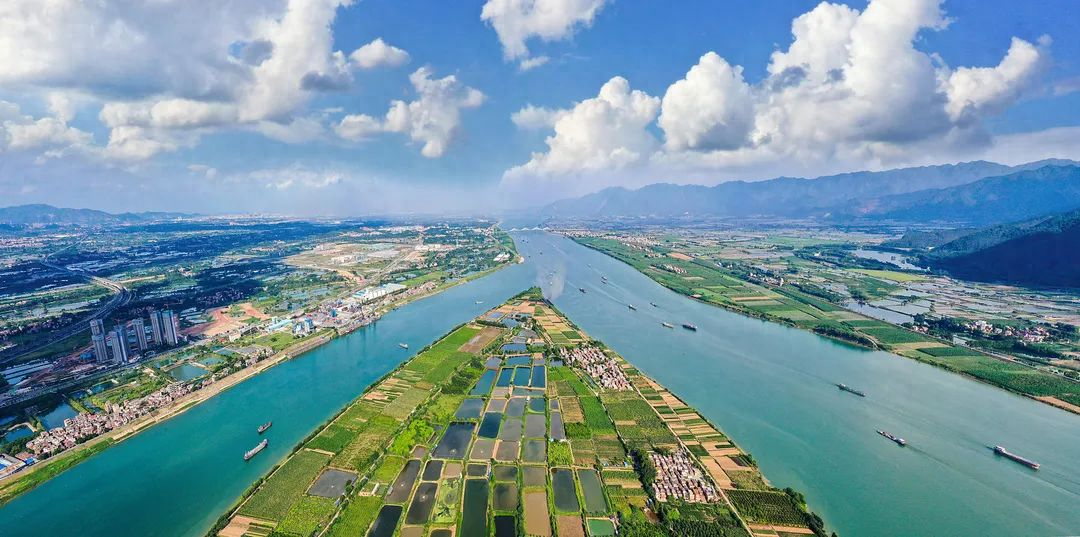 鼎湖“百千万工程”进行时｜集文化、农业、旅游于一体！这里是超火打卡地