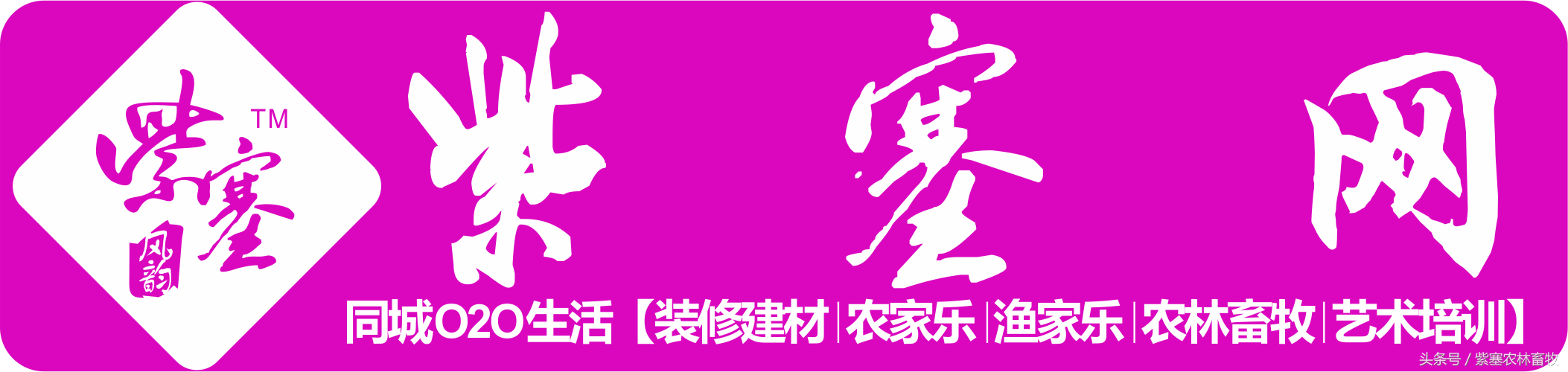 「紫塞」三农苗木：鄢陵甲天园林绿化