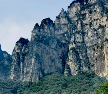 【0元入驻、接单自由】 66印全国招募合作商